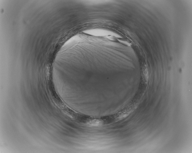 X0000085300551200704092300
