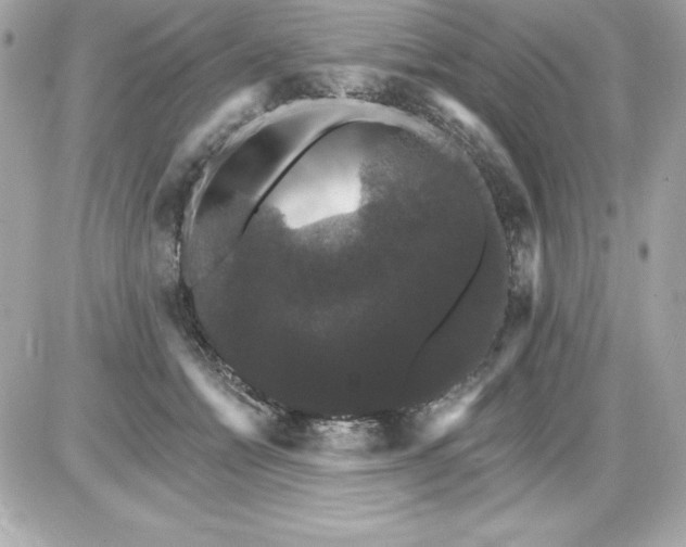 X0000085300558200704092300