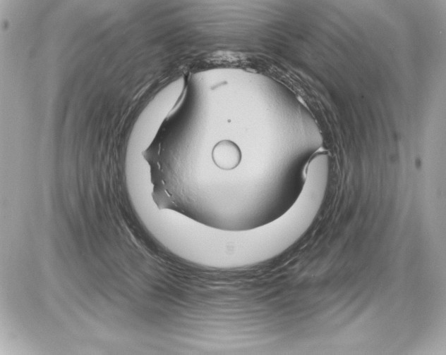 X0000085300560200704092300