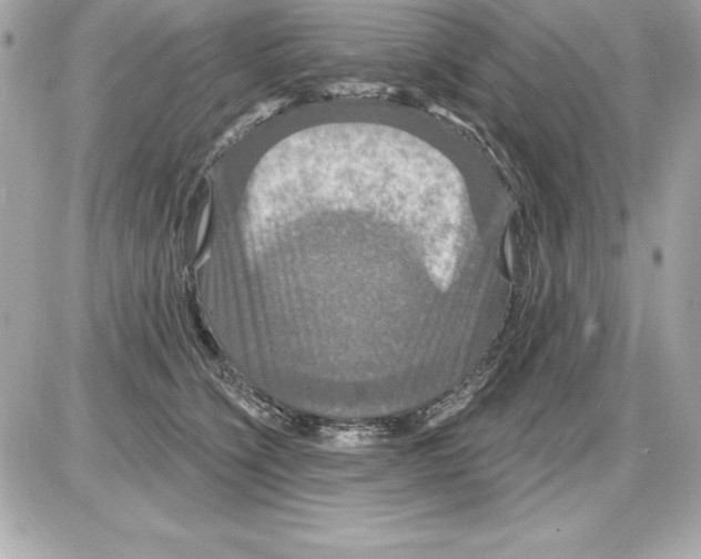 X0000085300564200704092300