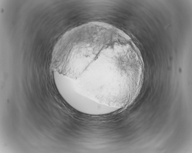 X0000085300565200704092300