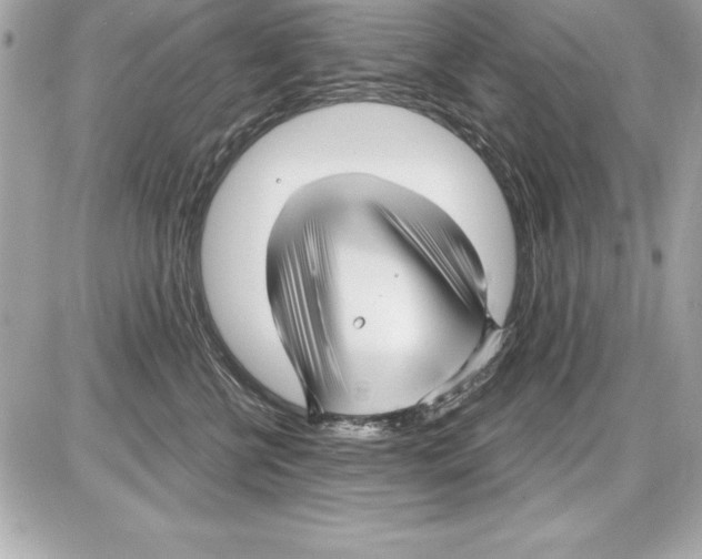 X0000085300570200704092301