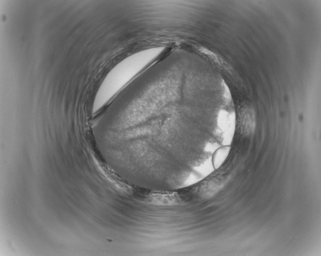 X0000085300571200704092301