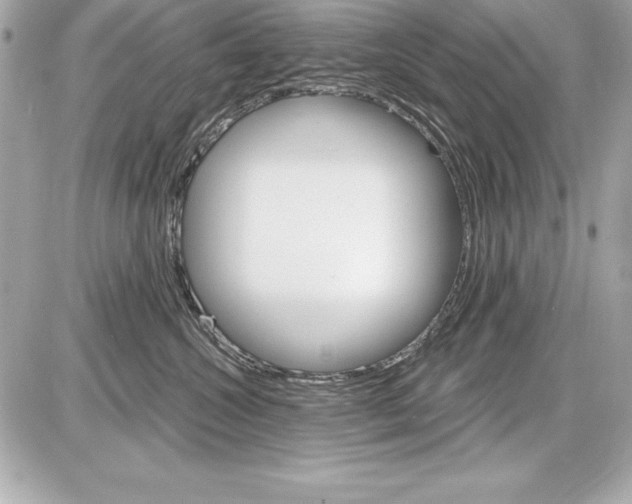 X0000085300572200704092301