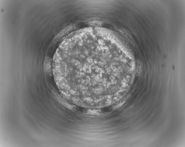 X0000085300573200704092301