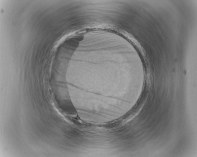 X0000085300577200704092300