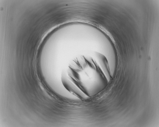 X0000085300580200704092300