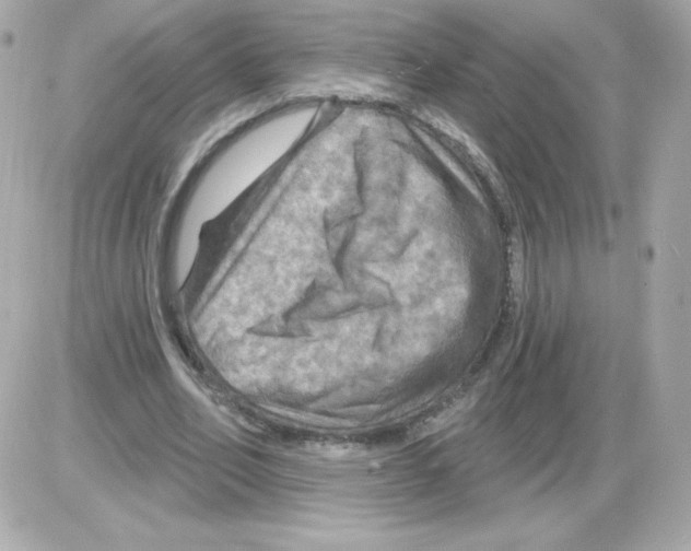 X0000085300582200704092300
