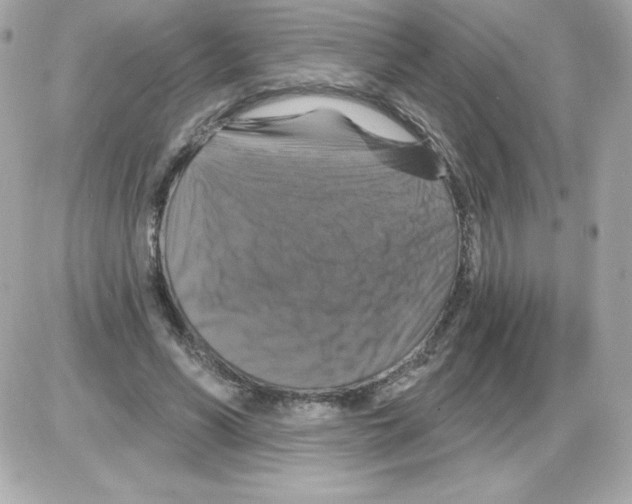 X0000085300590200704092300