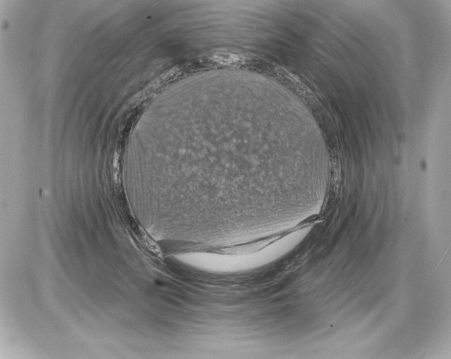 X0000085300606200704092259