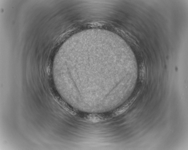 X0000085300608200704092259