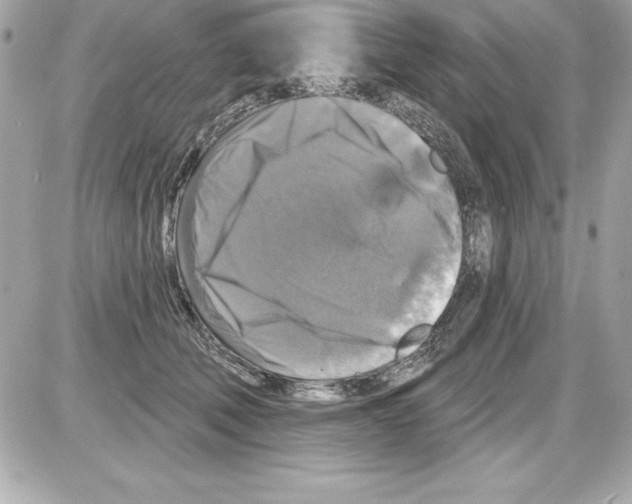 X0000085300610200704092259
