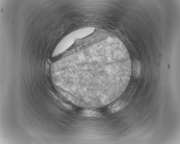 X0000085300614200704092259