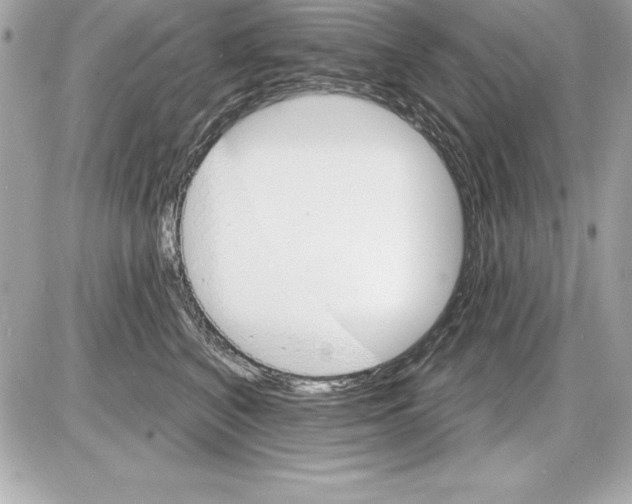 X0000085300616200704092259