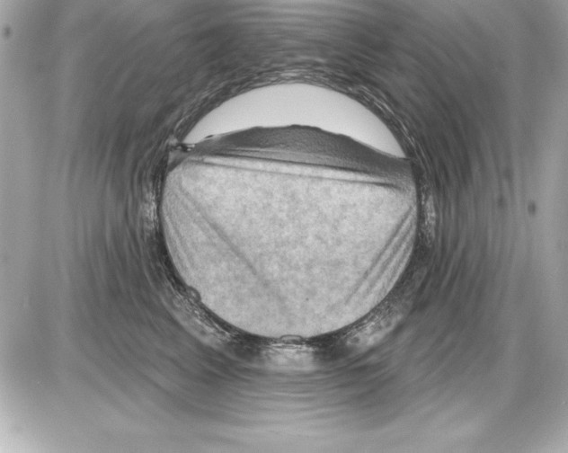 X0000085300617200704092259