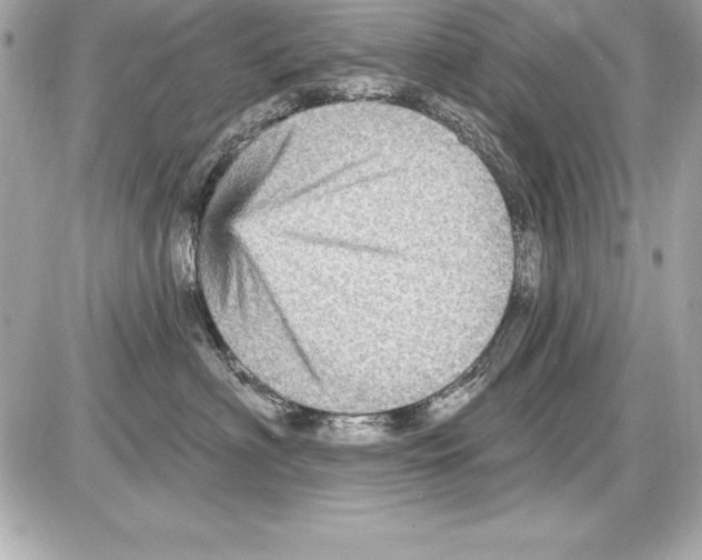 X0000085300622200704092259