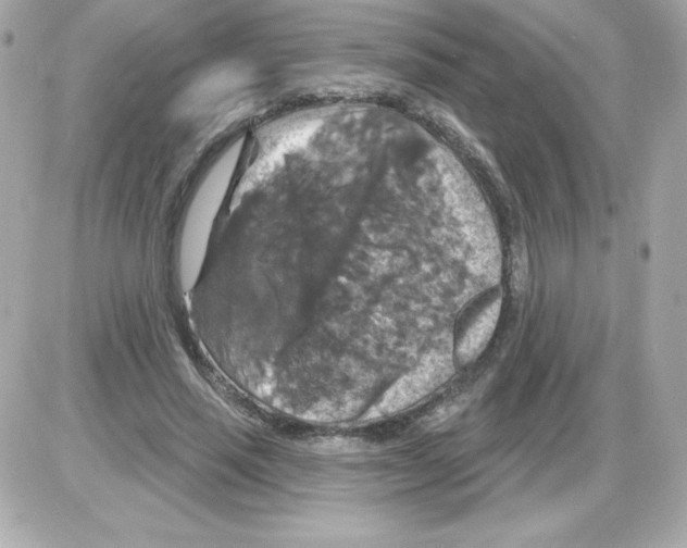 X0000085300637200704092258