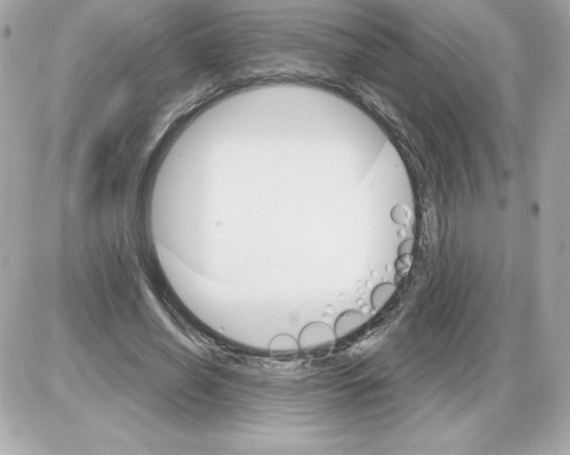 X0000085300638200704092258