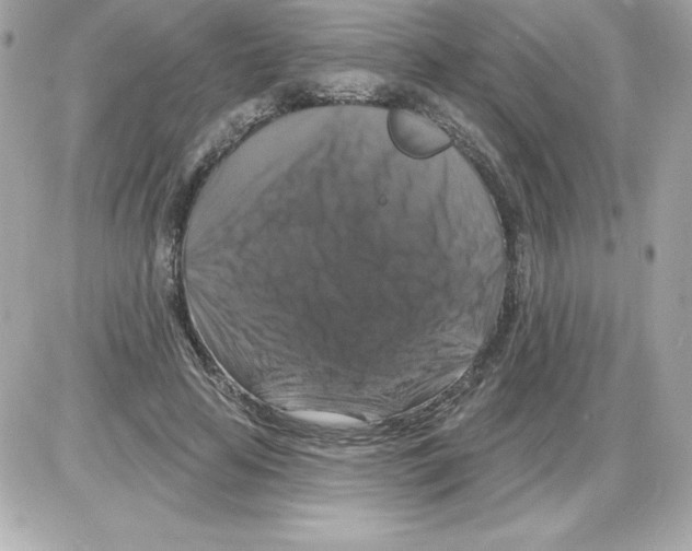 X0000085300641200704092259