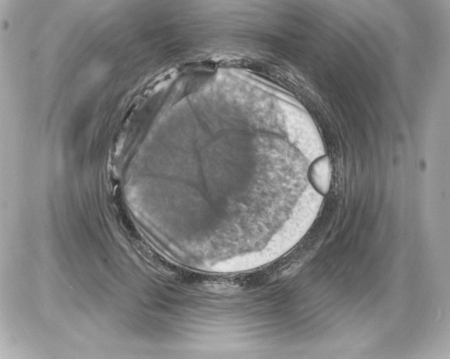 X0000085300644200704092259