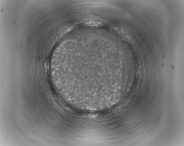 X0000085300647200704092259