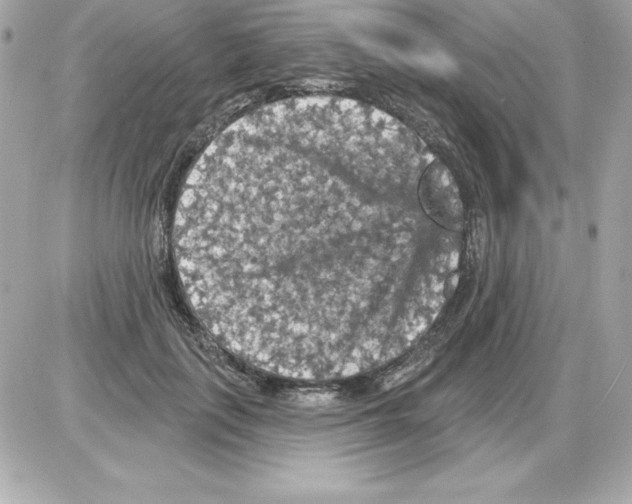 X0000085300651200704092259