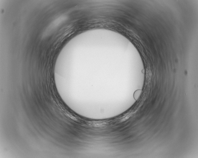X0000085300652200704092259