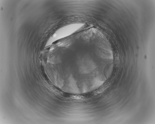 X0000085300654200704092259