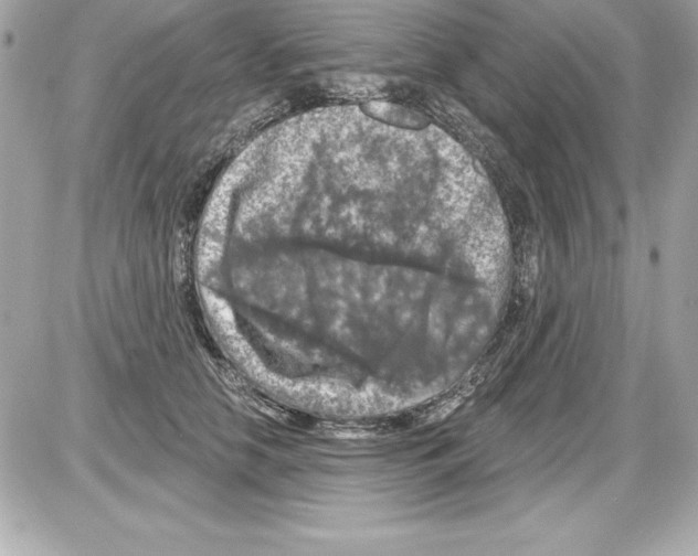 X0000085300658200704092259