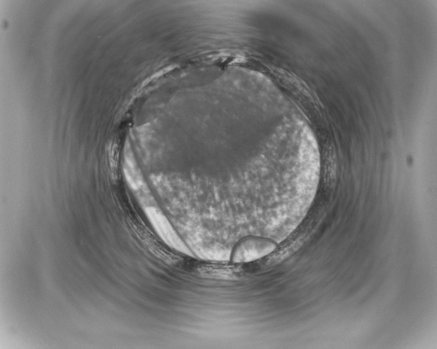 X0000085300661200704092259