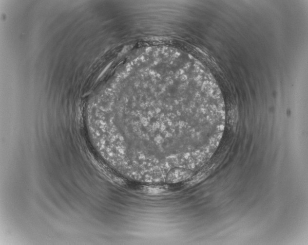 X0000085300662200704092259