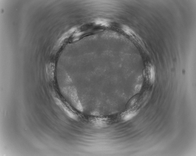 X0000085300664200704092259