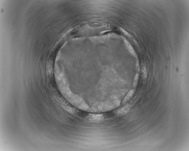 X0000085300665200704092259