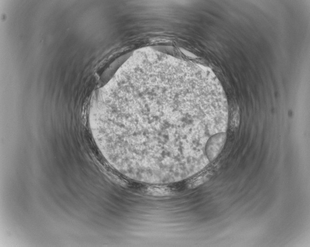 X0000085300666200704092259