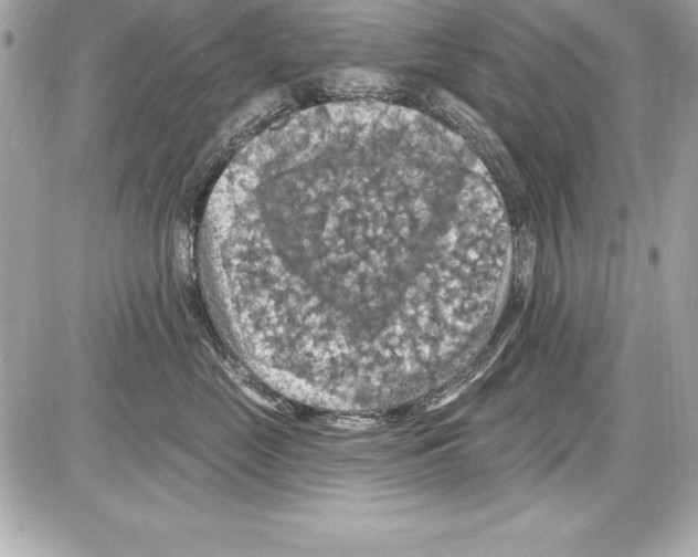 X0000085300669200704092259