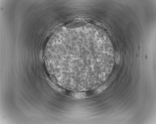X0000085300670200704092259