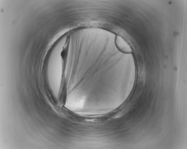 X0000085300674200704092258