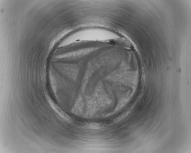 X0000085300677200704092258