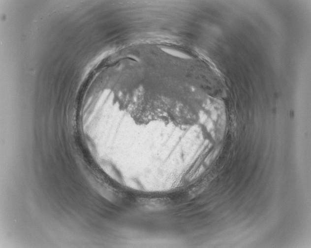 X0000085300679200704092258