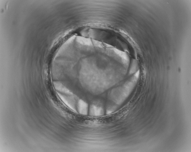 X0000085300688200704092258