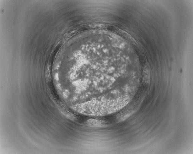 X0000085300699200704092258