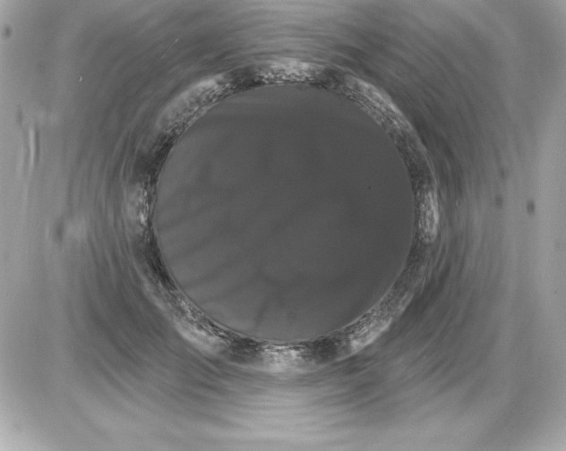 X0000085300701200704092258