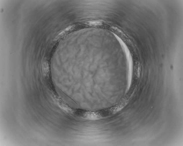 X0000085300704200704092258