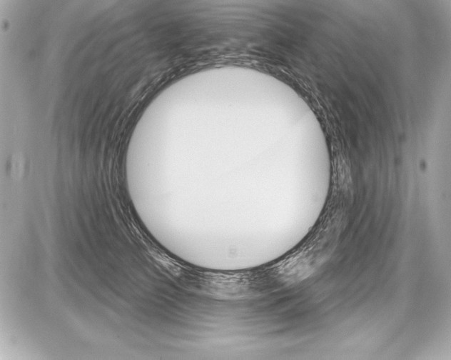 X0000085300709200704092258