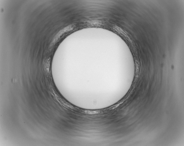 X0000085300710200704092258