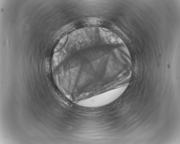 X0000085300715200704092258