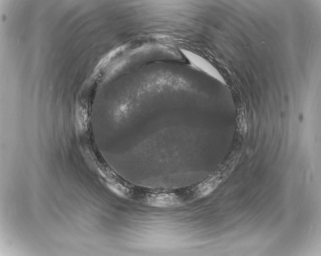X0000085300716200704092258