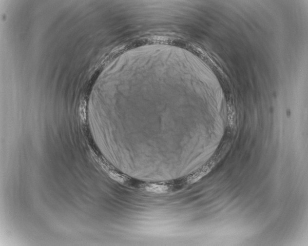 X0000085300718200704092258