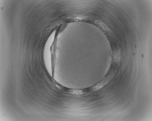 X0000085300719200704092257
