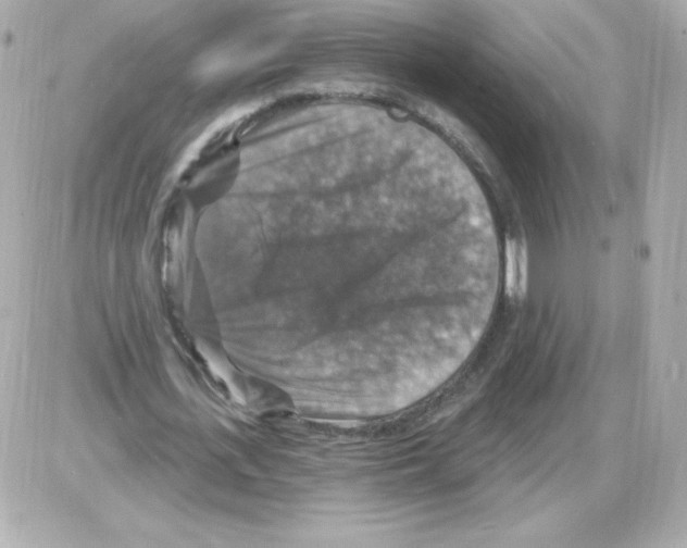 X0000085300723200704092257